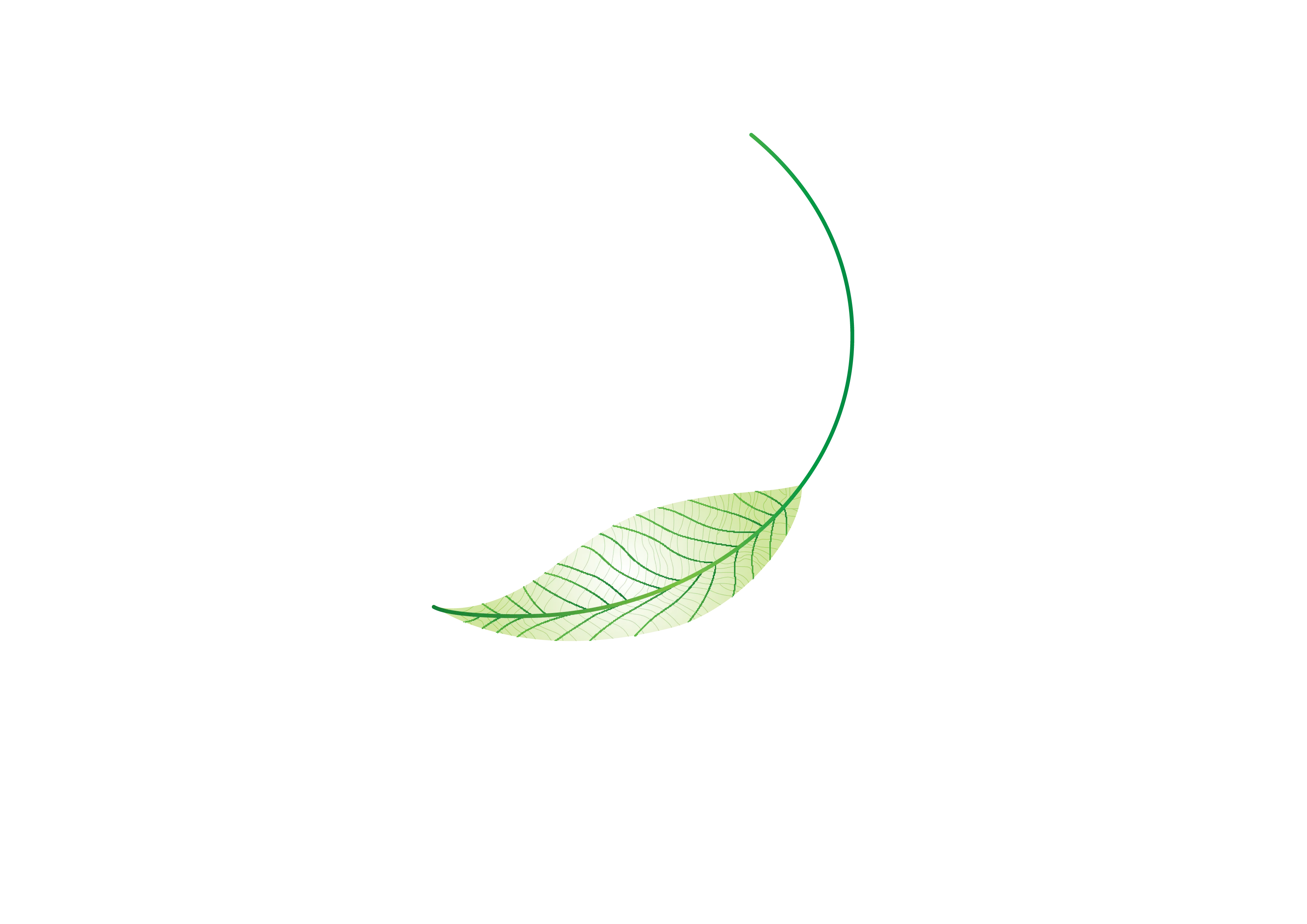 PureTouch_Clinic_Leaf-01