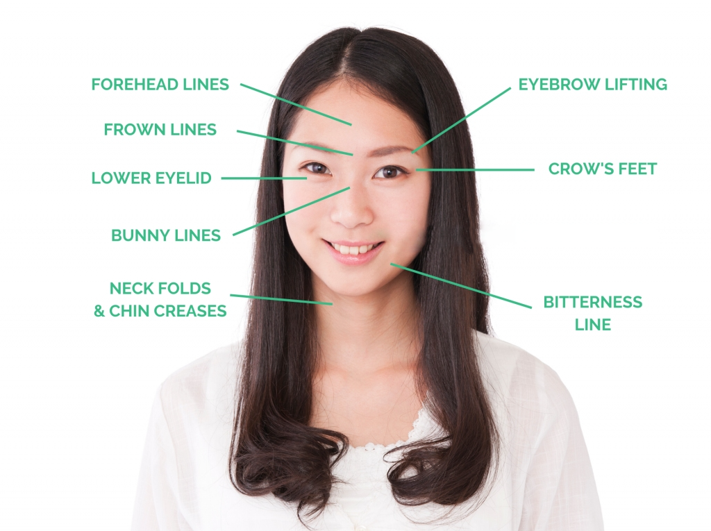 facial diagram